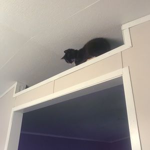 Meet your Posher, Cheryl